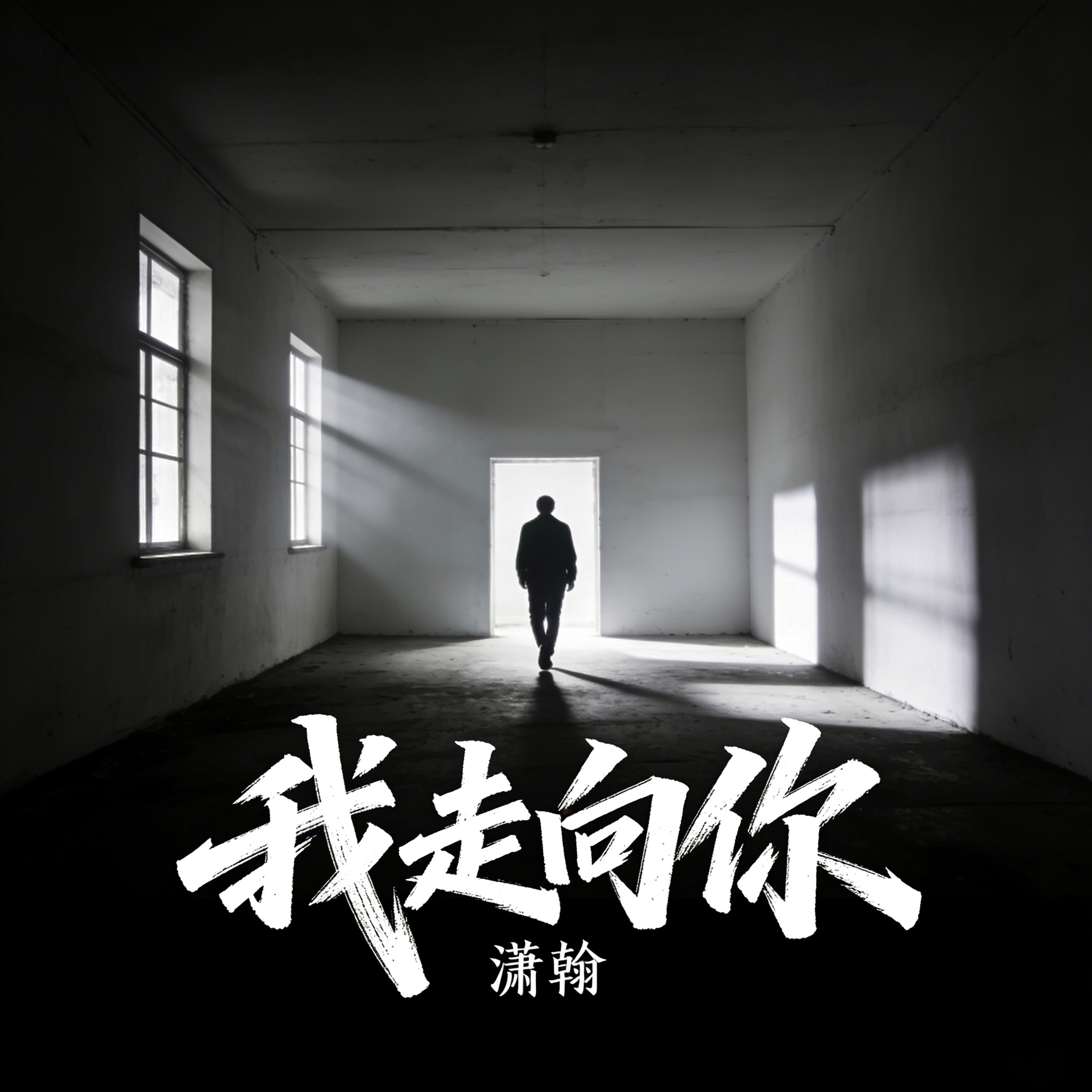 我走向你封面