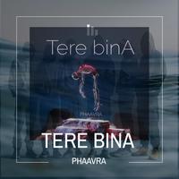 TERE BINA (feat. Vaayu) [A&A Remix]