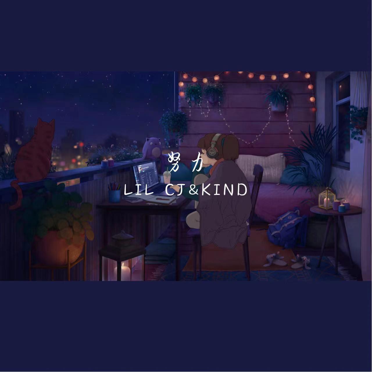 努力_Lil cj_努力 | 在线播放_努力歌词_努力下载 | 网易云音乐