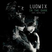 In the Dark (feat. Katya Slok)