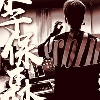 李保森