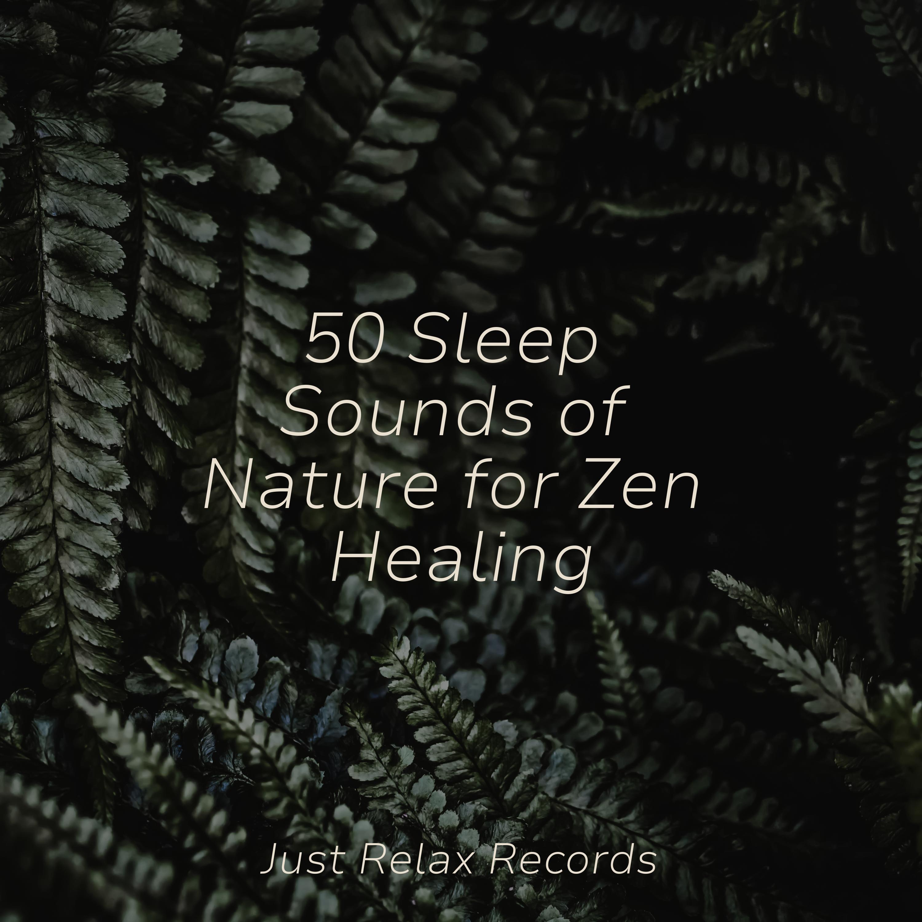 50 Sleep Sounds of Nature for Zen Healing - RelaxMyCat - 专辑 - 网易云音乐