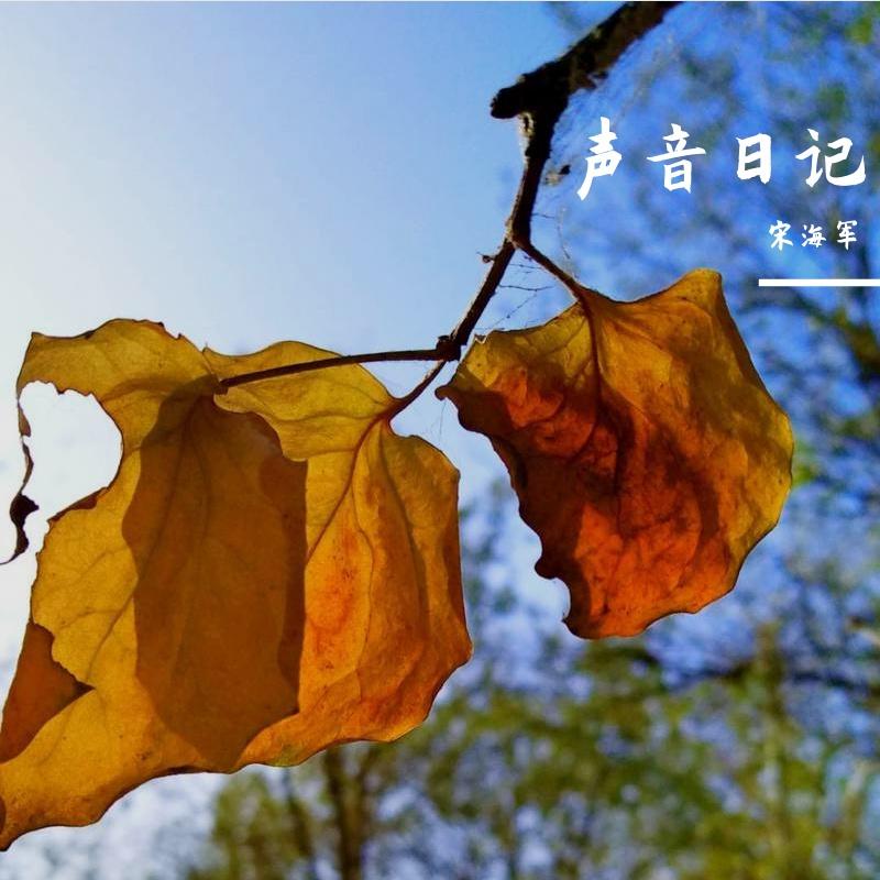 眼底星空封面