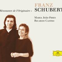 Schubert: Works for Piano Duet and Piano Solo