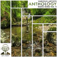 Anthology Radio Mixes, Vol. 11