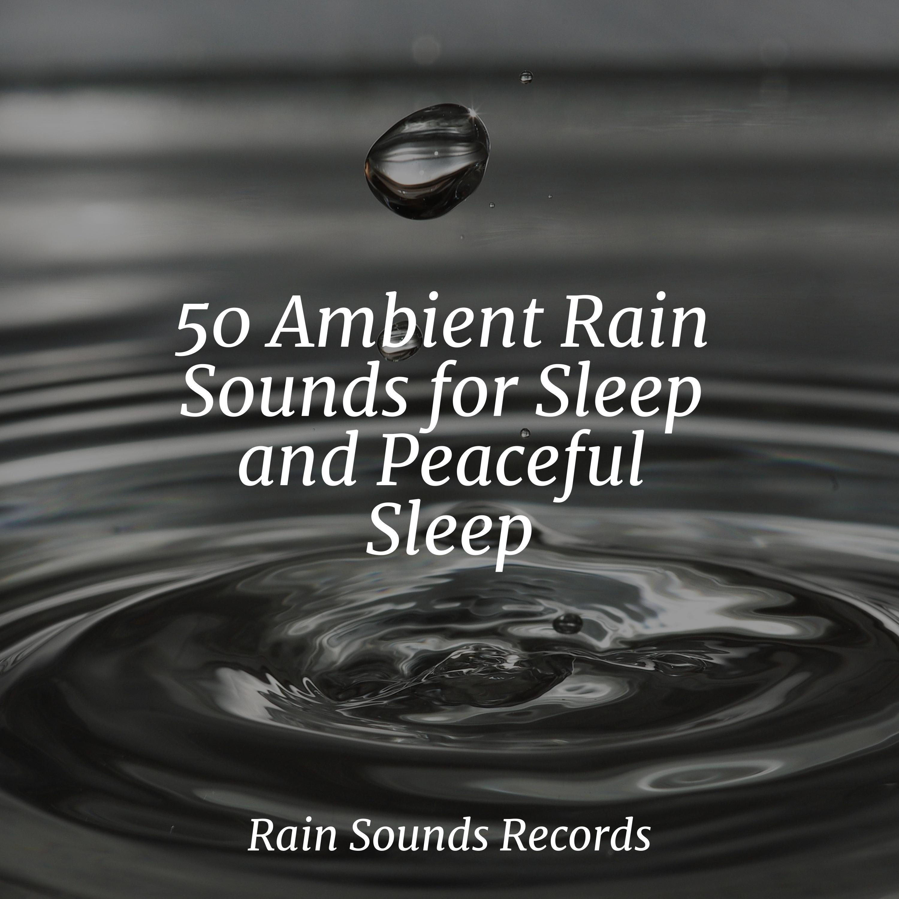 50 Ambient Rain Sounds for Sleep and Peaceful Sleep - Sleepy Night ...