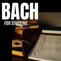 Bach For Studying