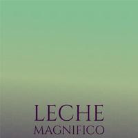 Leche Magnifico