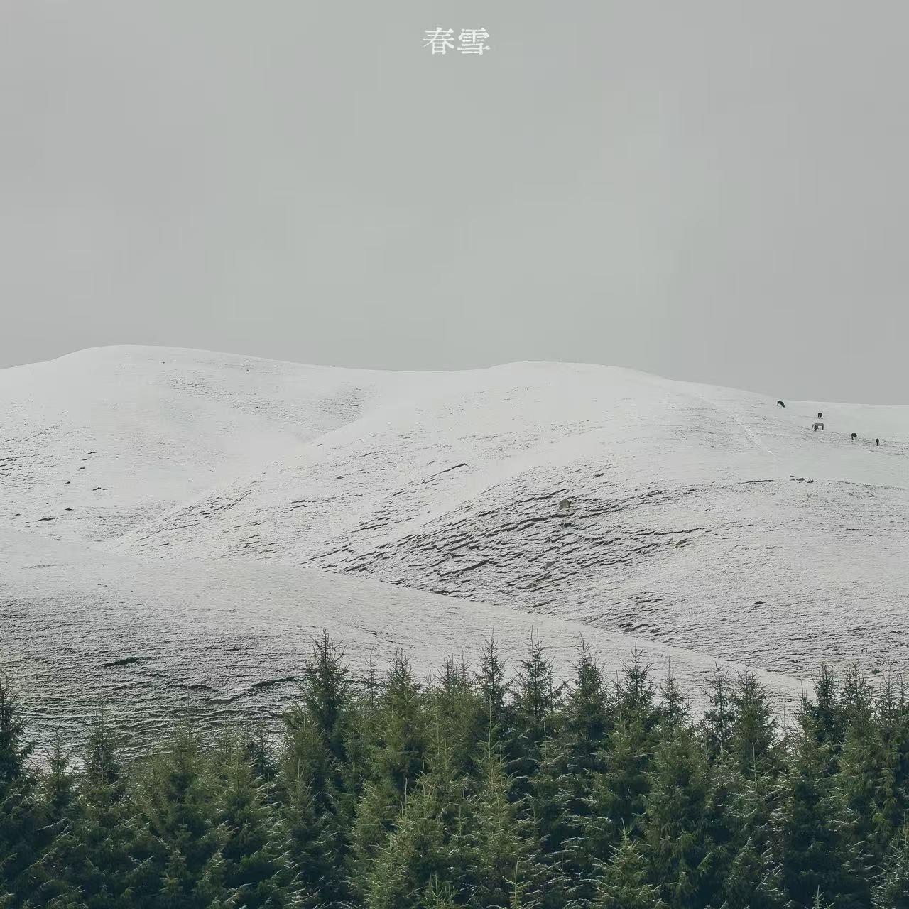 繁星璀璨的天空封面