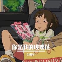 你是我的玫瑰花