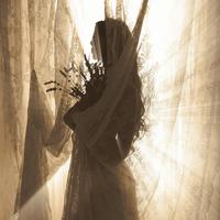 pain finds rebirth