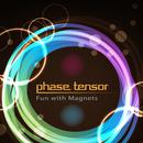 Phase Tensor