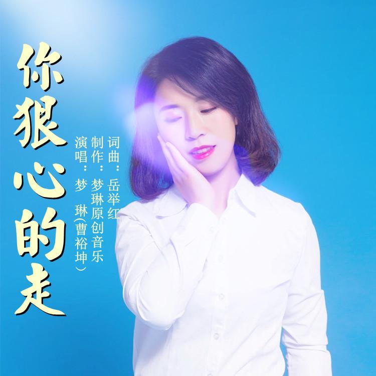 你狠心的走 梦琳版 伴奏封面