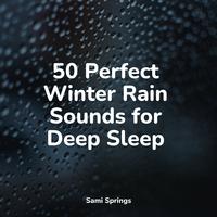 50 Perfect Winter Rain Sounds for Deep Sleep