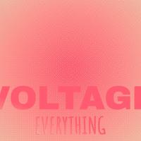 Voltage Everything