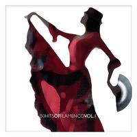 50 Hits of Flamenco Vol. 1