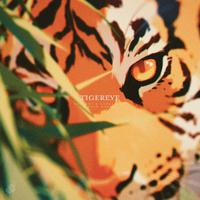 Tigereye