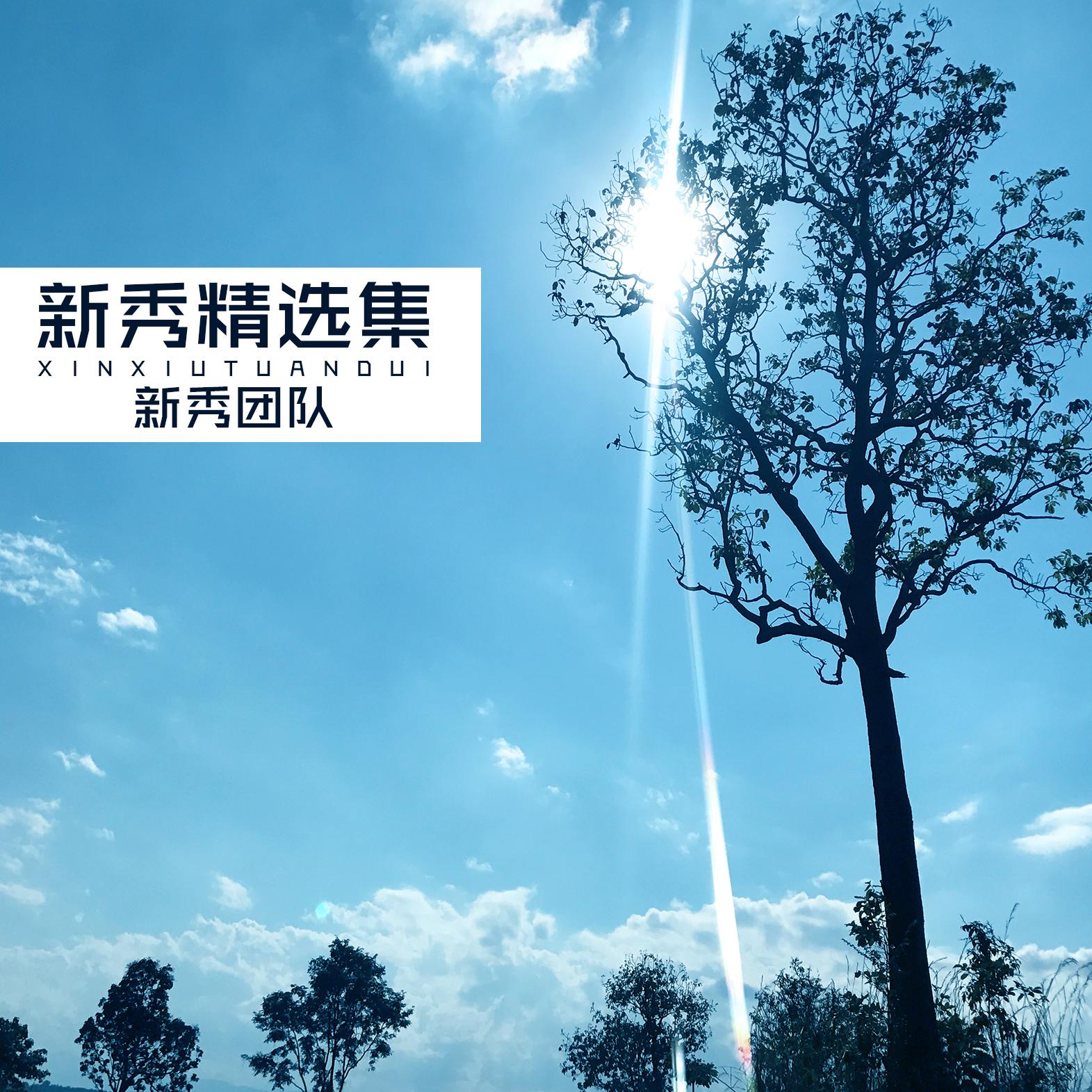 毒药 (伴奏)封面