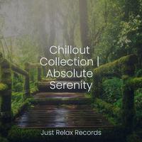 Chillout Collection | Absolute Serenity