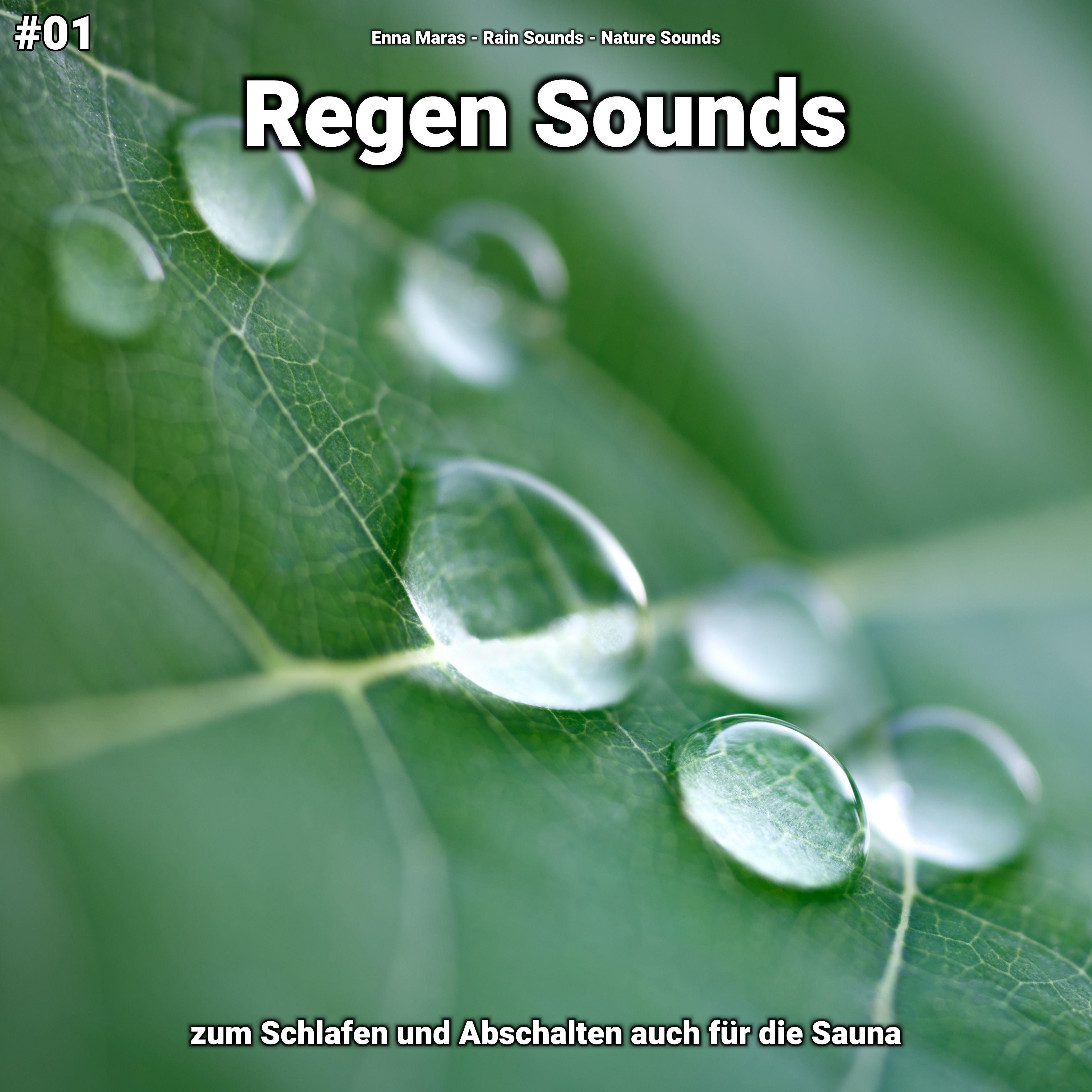 Regen Sounds, pt. 69