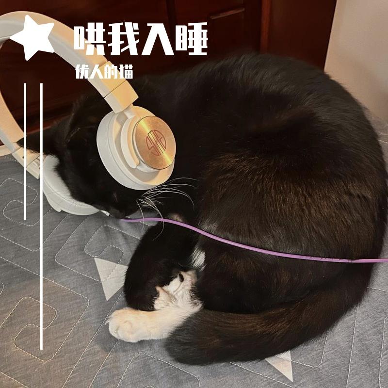哄我入睡 - 优人的猫封面