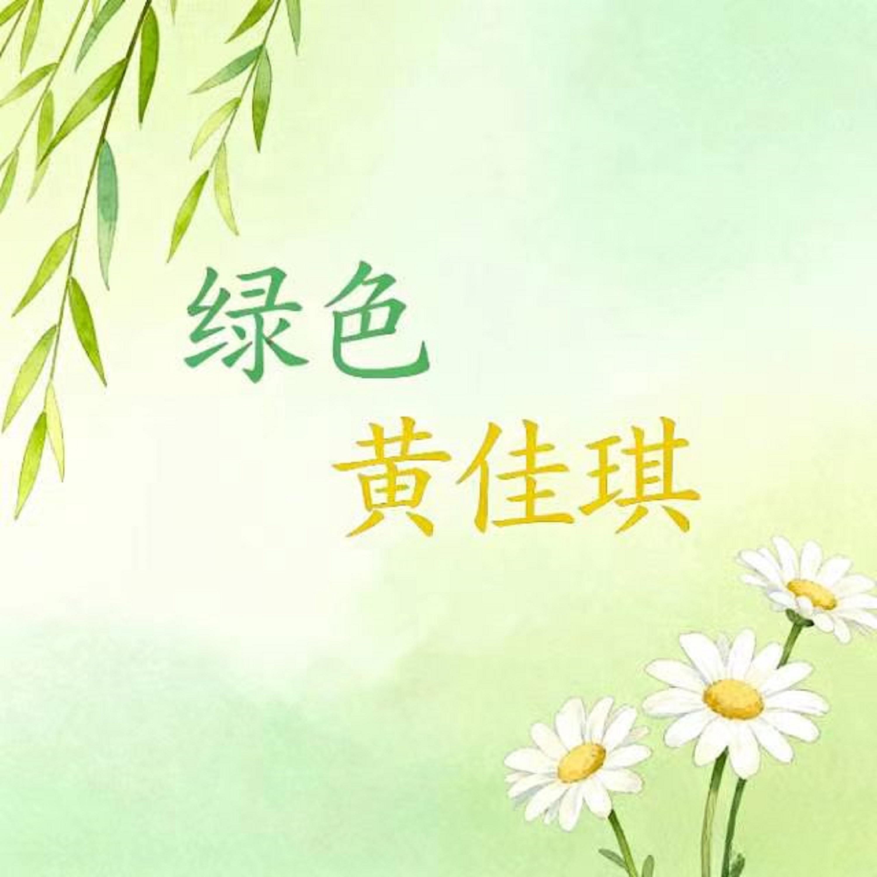 绿色封面