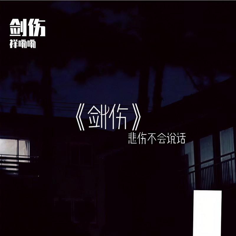 剑伤 (32秒片段)封面
