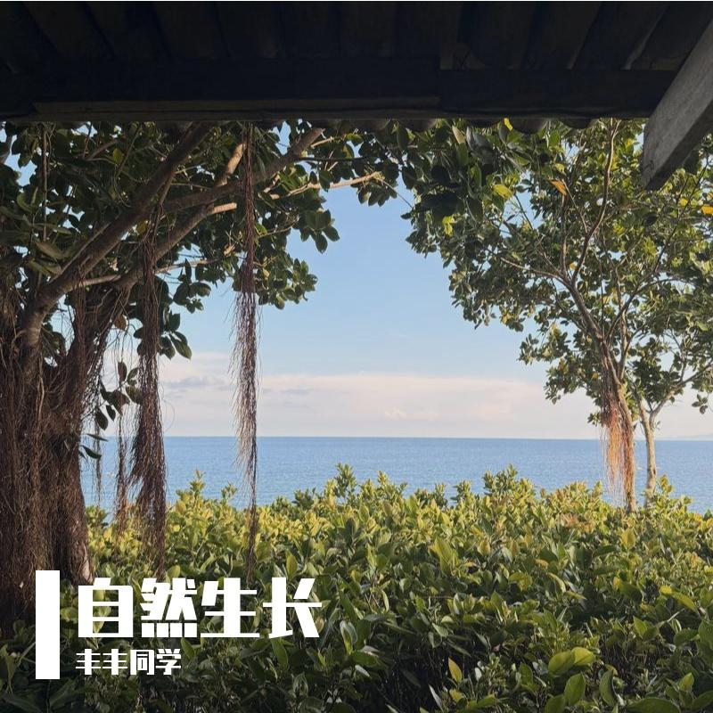 儿时梦 - 丰丰同学封面