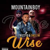 Wise (feat. FrizzyD & Emslim)