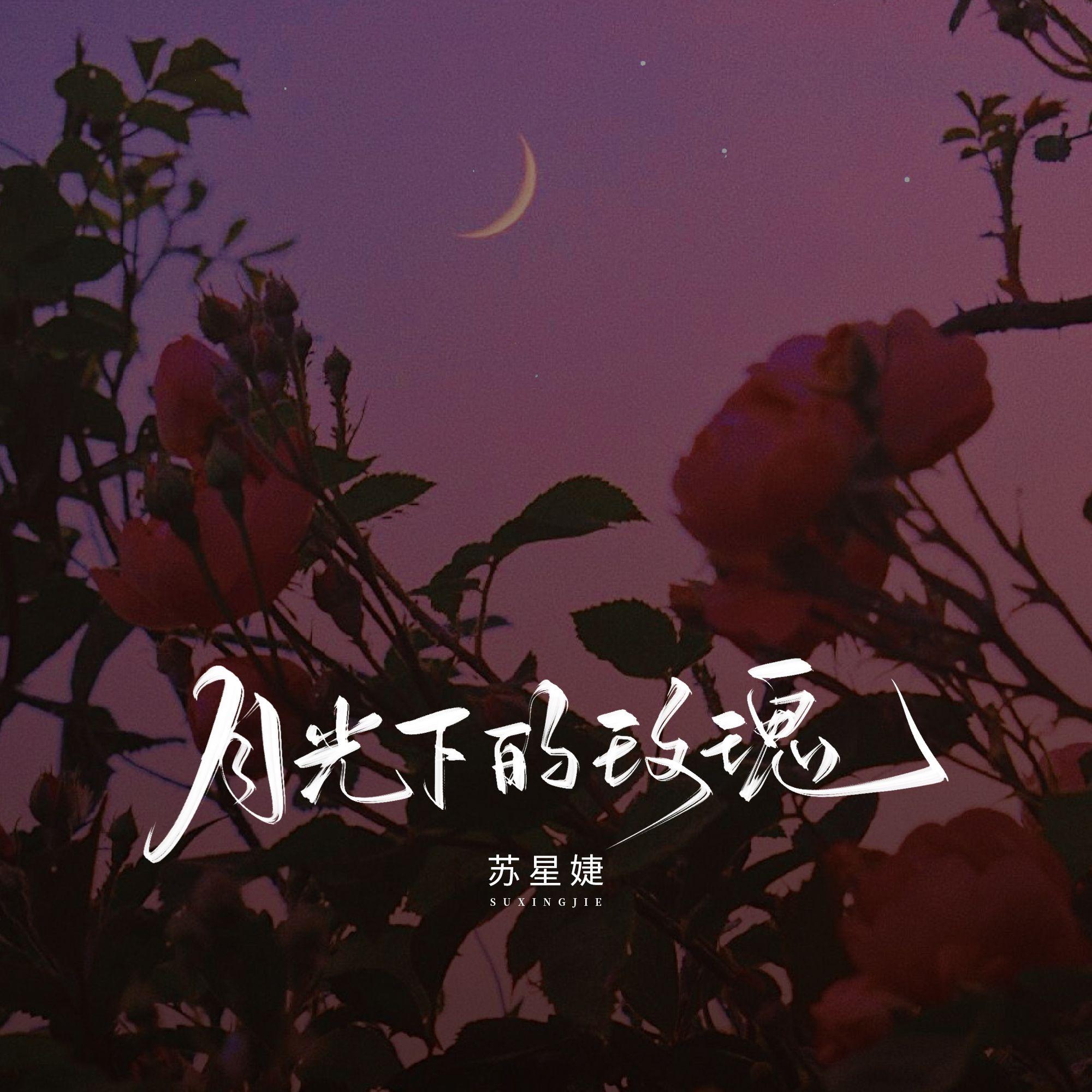 月光下的玫瑰（DJAh版）封面