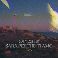 Sara Perche Ti Amo (Remix)