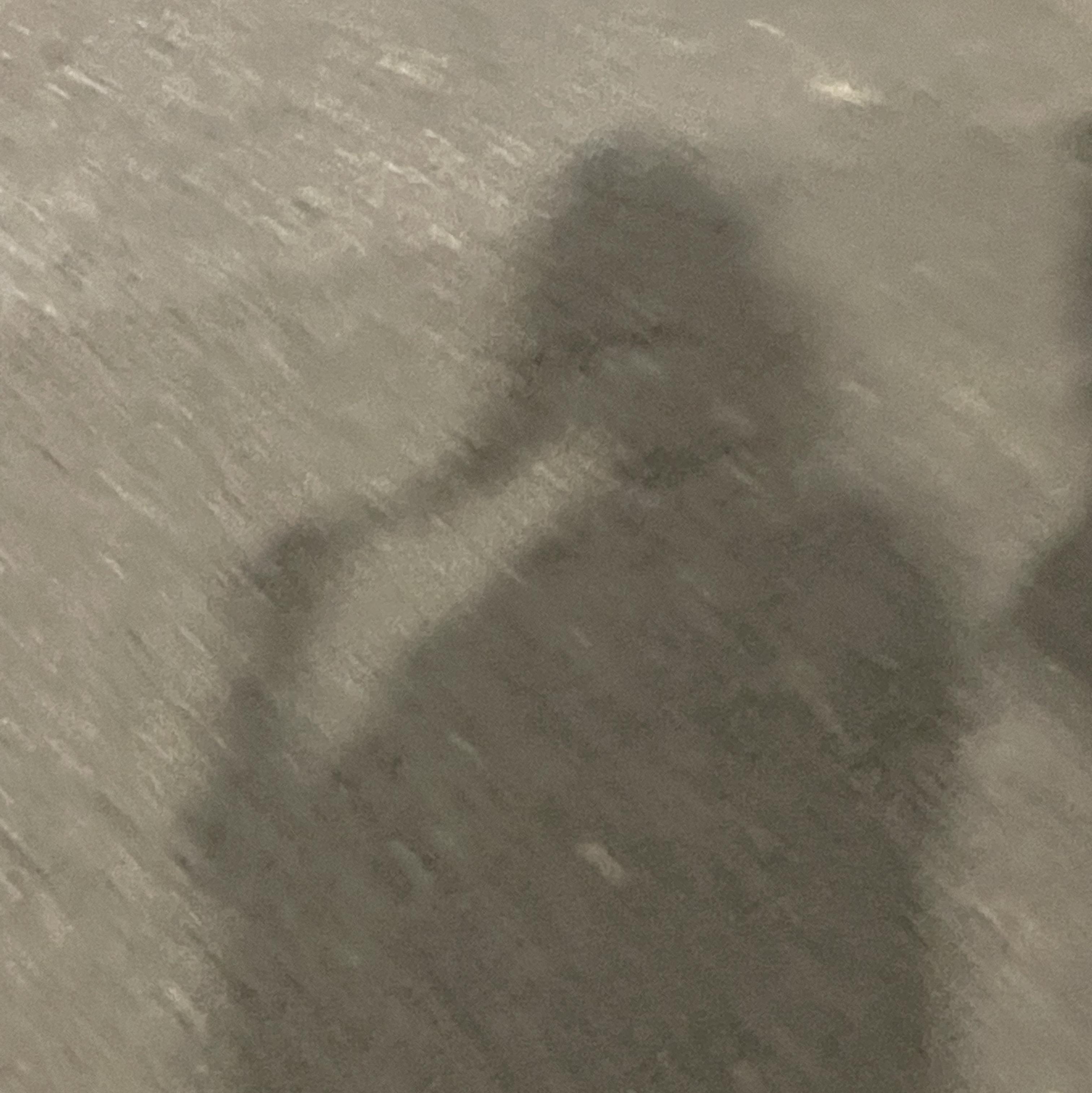 地狱天使封面