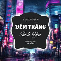 Đêm Trăng Tình Yêu (Remix Version)