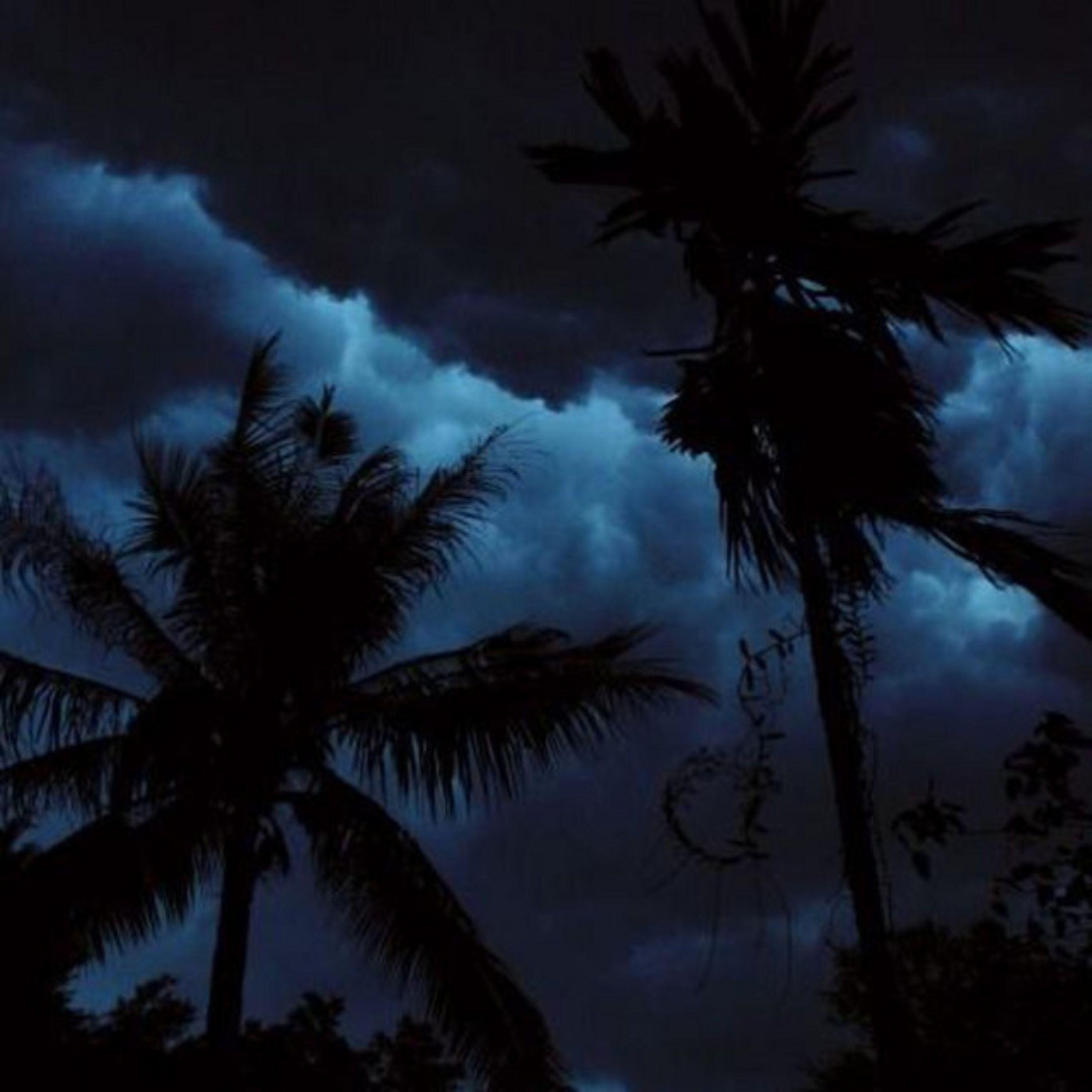 Danza Kuduro x Pepas