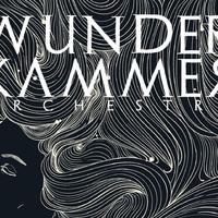Wunderkammer Orchestra资料,Wunderkammer Orchestra最新歌曲,Wunderkammer OrchestraMV视频,Wunderkammer Orchestra音乐专辑,Wunderkammer Orchestra好听的歌