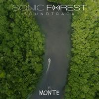 Sonic Forest