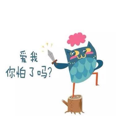 绝版火花封面