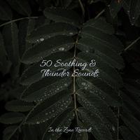 50 Soothing & Thunder Sounds