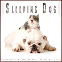 Sleeping Dog: Relaxing Background Music for Dog Sleep