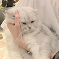 影资料,影最新歌曲,影MV视频,影音乐专辑,影好听的歌