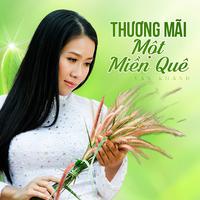 Thương Mãi Một Miền Quê