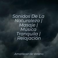 Sonidos De La Naturaleza | Masaje | Música Tranquila | Relajación