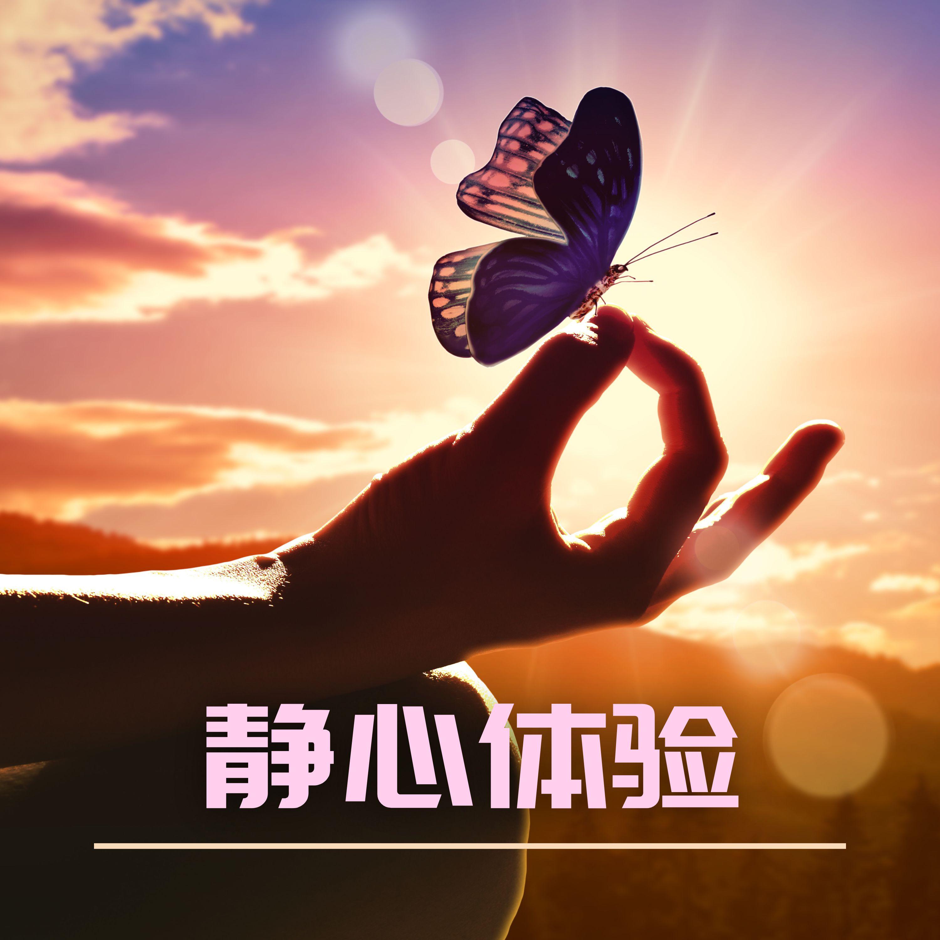 睡眠周期 - 深度淨化、三眼脉轮、正念冥想音乐封面