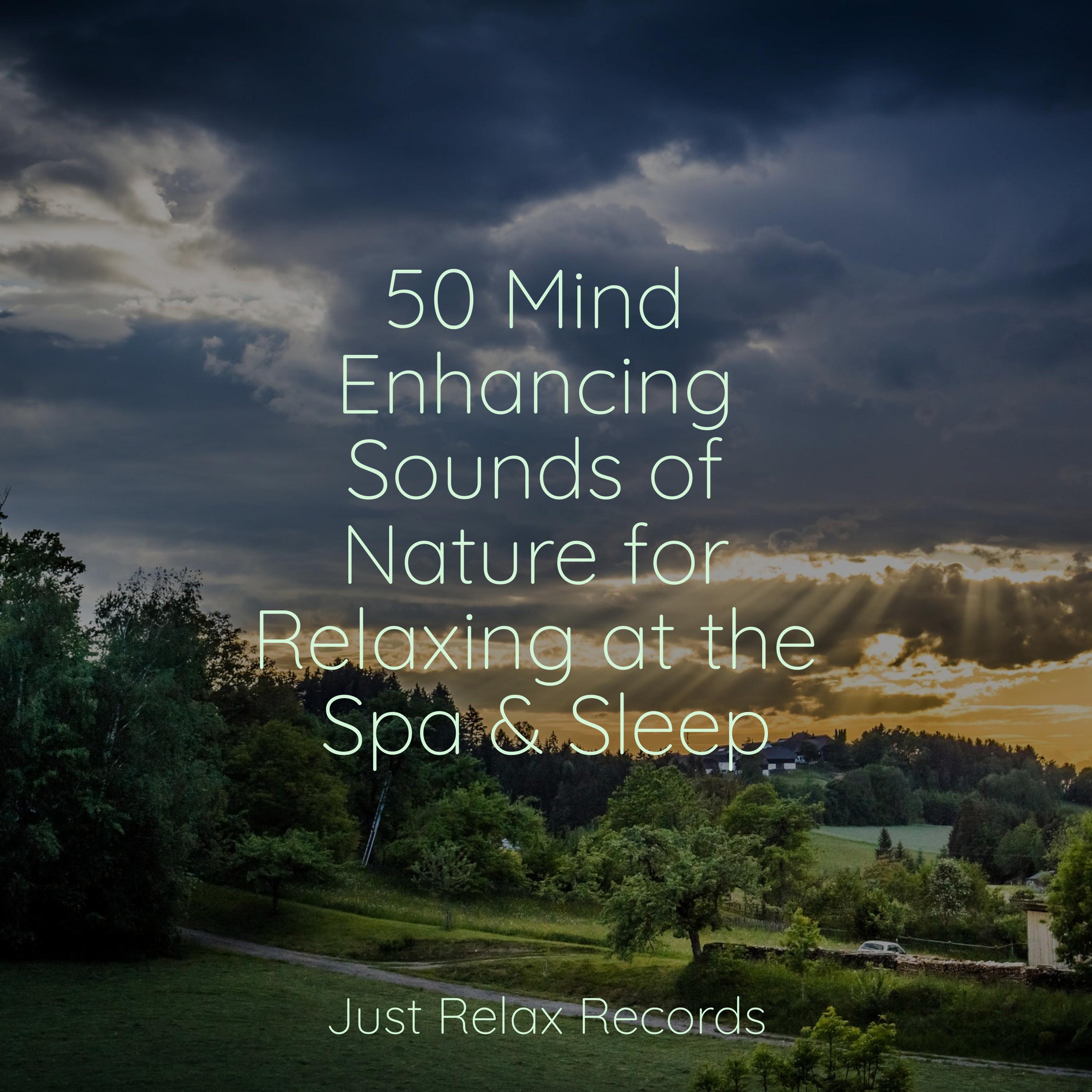 Meditation Healing Music Youtube - uj6xs3x
