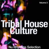 Tribal House Culture, Vol. 3