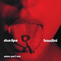 Houdini (Adam Port Extended Mix)