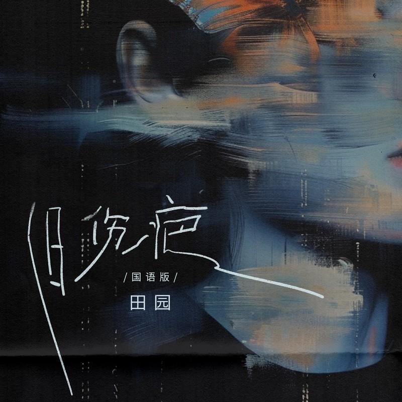 旧伤疤 (国语版) - 田园封面