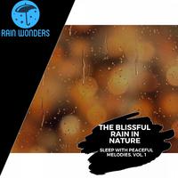 The Blissful Rain in Nature - Sleep with Peaceful Melodies, Vol. 1