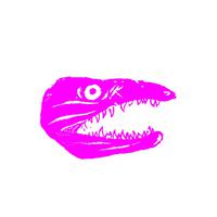 Black Fuchsia