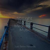 50 Light Autumn Meditation Music